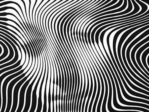 Kinoa Tadında Hayat